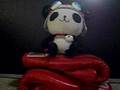 交通情報動画19