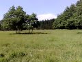 Terreno rural precioso para huerta/esparcimiento Mungia