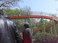 Nagoya short videos 12 a hanami