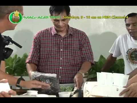 how to make snap solution for hydroponics