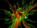 THE FUTURE SOUND OF LONDON MAX 1996 DEAD CITIES FSOL (ORIGINAL VIDEO)