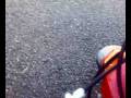 videos de La mia minimoto