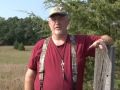 Dogs & Dog Training Tips - Bill Schaller