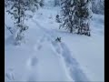 pippi on the run