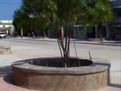 Imagen de previsualización de YouTube