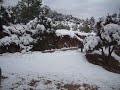 segona jornada de nevades als ports maestrat i la tinença