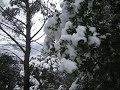 segona jornada de nevades als ports maestrat i la tinença