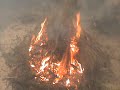 arnedillo fiesta humo 3