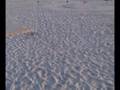 videos de Marea Neagra (Black Sea) 2008