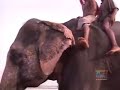 Lost treasures of the ancient world - INDIA 2/5