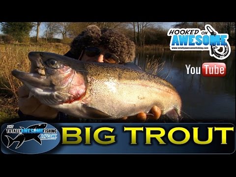 how to locate trout