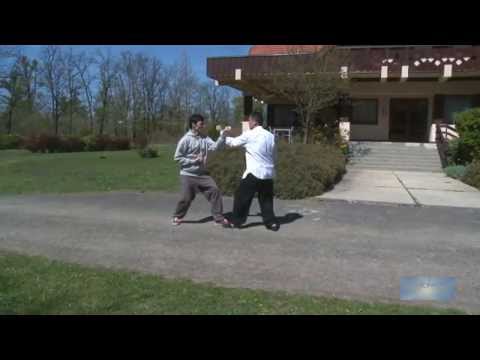 Dr. Lu Guangyi – Xing Yi Wu Xing Pao Dui Lian