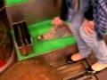 videos de is the croc really sleeping??