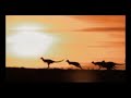 EARTH PARADISE (ERSAND)