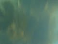 SAFIO 8 SAFIO 8