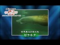 アマゾン河