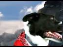 Fido - SFU BUS 343 - New Commercial