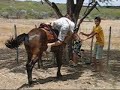 Aula de montaria.wmv