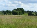 Henley to Pangbourne Chilterns Walk 23 June 2008