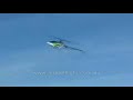 crazy skills from the DX7 Rc heli (must see)
