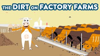 The Dirt on Factory Farms | Our Climate Our Future SHORTS