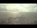 Tall Ship Race in den Helder
