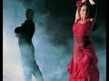 Flamenco - Al Di Meola Flamenco - Al Di Meola