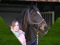 My horseys! My horseys!