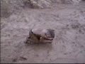 All the slip-n-mud footage All the slip-n-mud footage