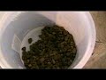 DIY aquarium filter idea #1