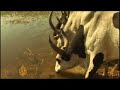 Dinka of Abyei - 16 Mar 08
