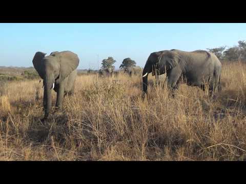 Sydafrika-Swaziland 2012