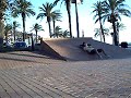 roses sk8