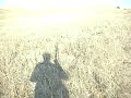 Pheasant Hunting at Rahauge\