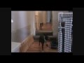 Boston Terrier video