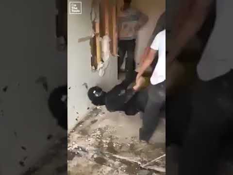 Khi nghề phụ hồ đã quá nhàm chán! Các anh chuyển qua nghịch ngu =))