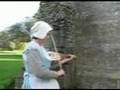 Alyce Cleeve-1538 part 1