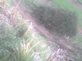 motocross ganea