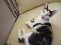 Ariel and the New Mousey Toy
