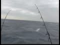 Florida Sailfishing