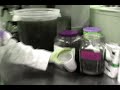 Power Lab Volunteer Promo