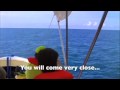 Take a tour in Uvita Costa Rica with Bahia Aventuras
