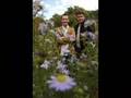 Sean Astin - There and back again - Sean Astin - Flixster Video