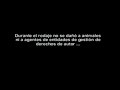 la verdad sobre el canon