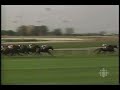 Charlie's Dewan Breeders Stakes 1995 - Canadian Triple Crown Charlie's Dewan Breeders Stakes 1995 - Canadian Triple Crown
