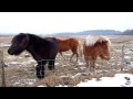 View Video