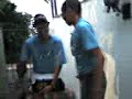 Guerreiros azuis em: A procura da caixa de Pancu Guerreiros azuis em: A procura da caixa de Pancu