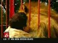 amazing-hug.html