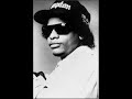 EAZY-E : STILL CRUSIN\