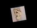 Prehistoric Cats & cats like creaturs.wmv